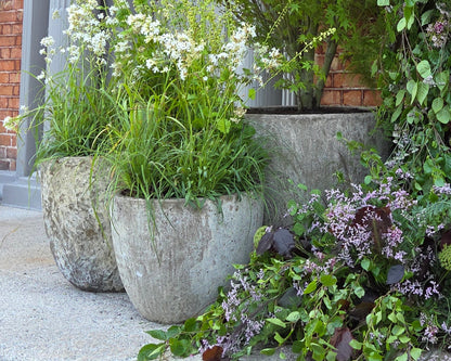 Tempe